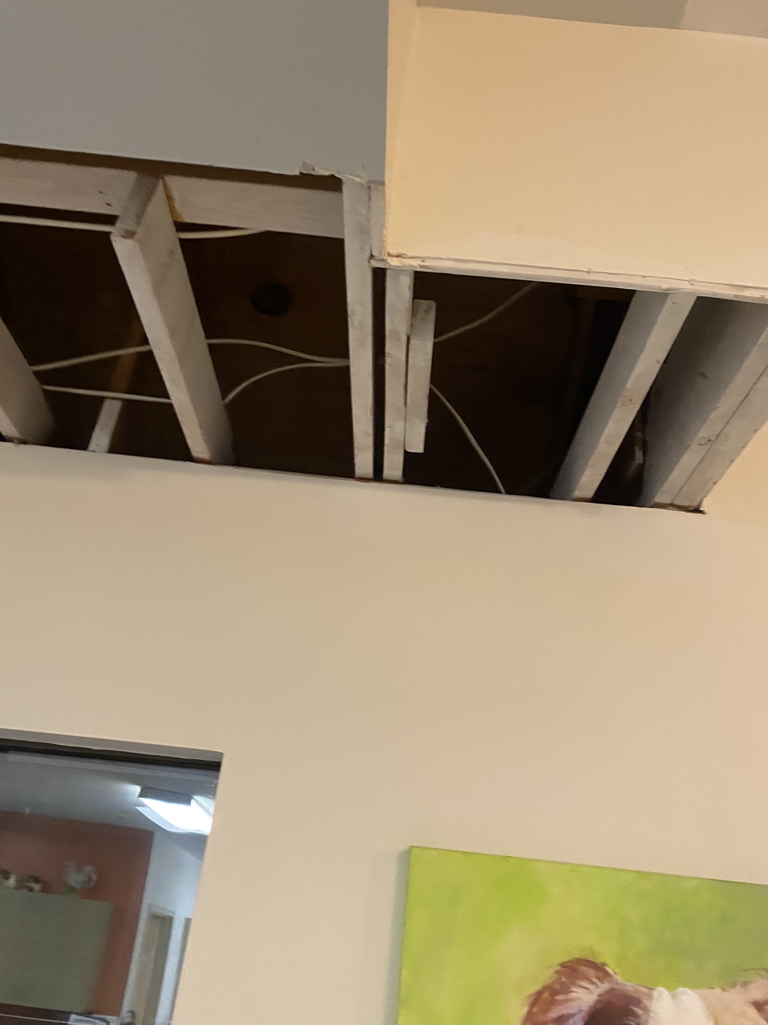 Animal feces caused damage to ceilings