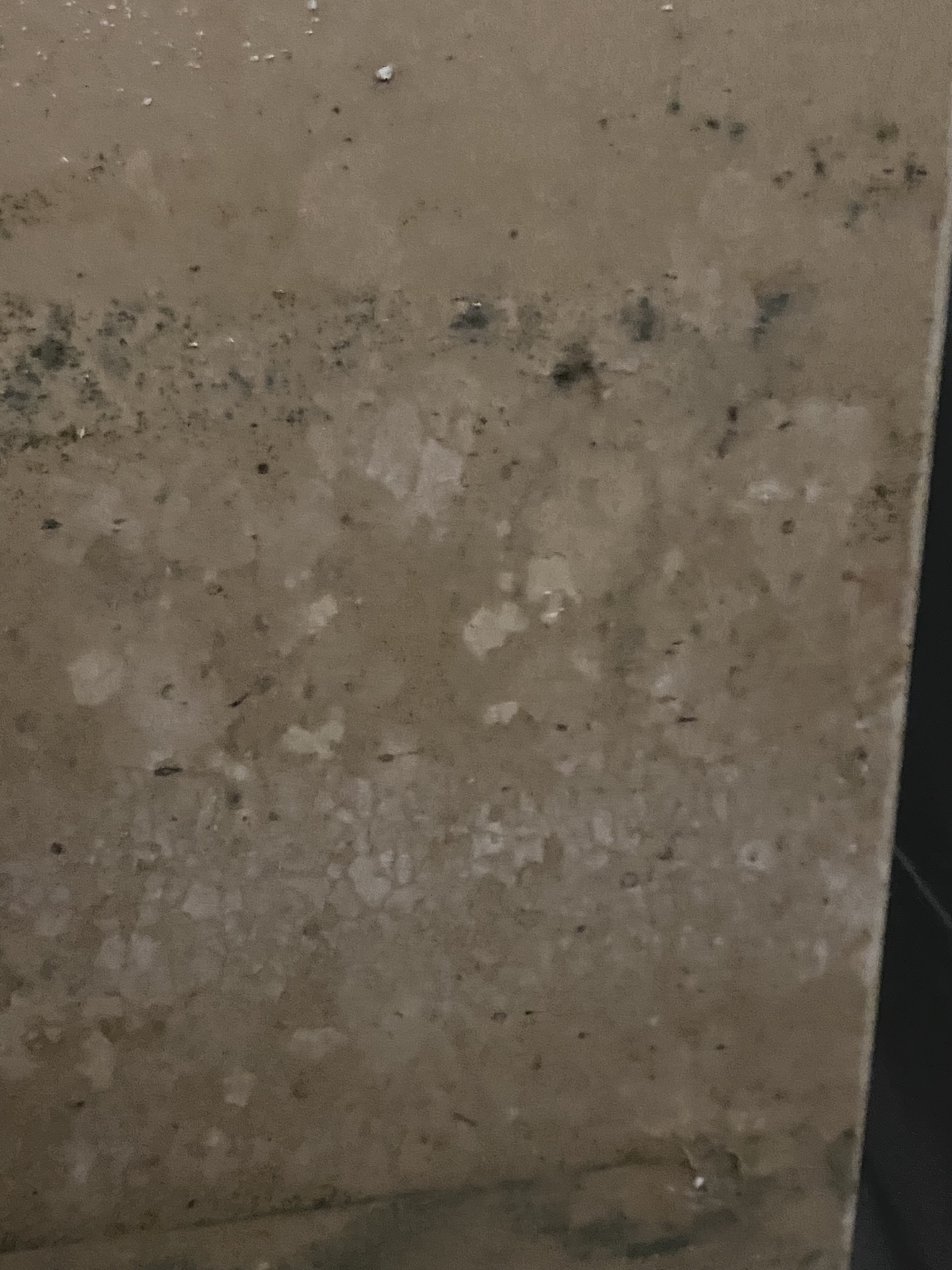 Mold removal