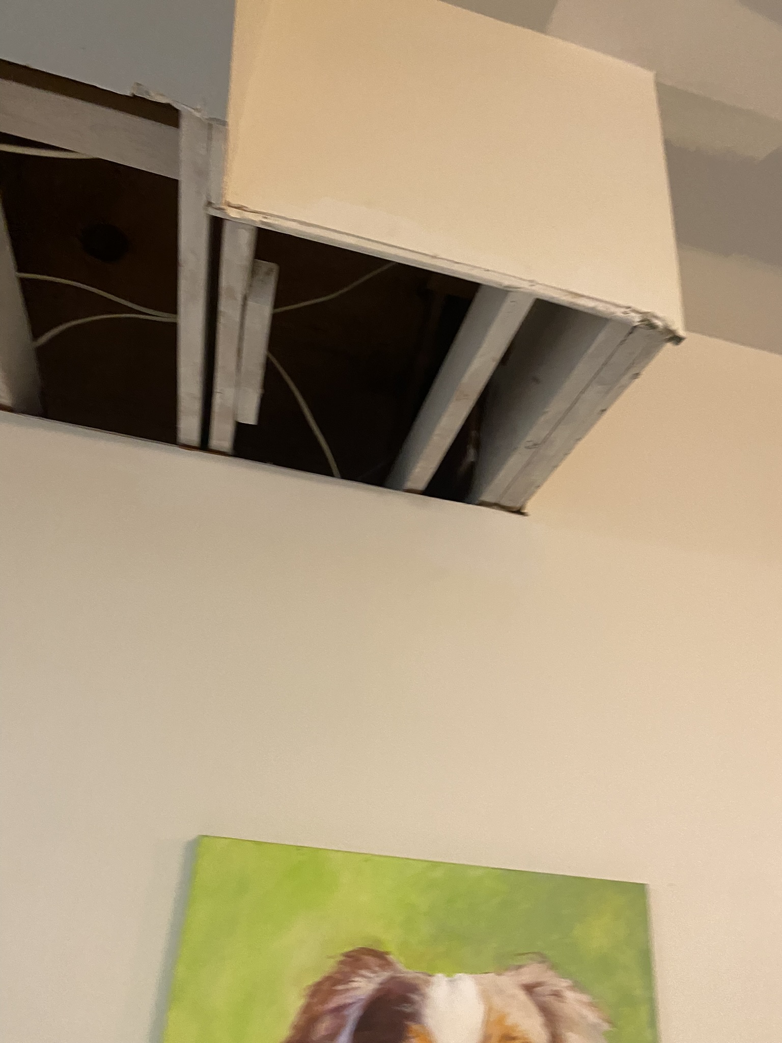 Clean ceiling joists after biohazard cleanup