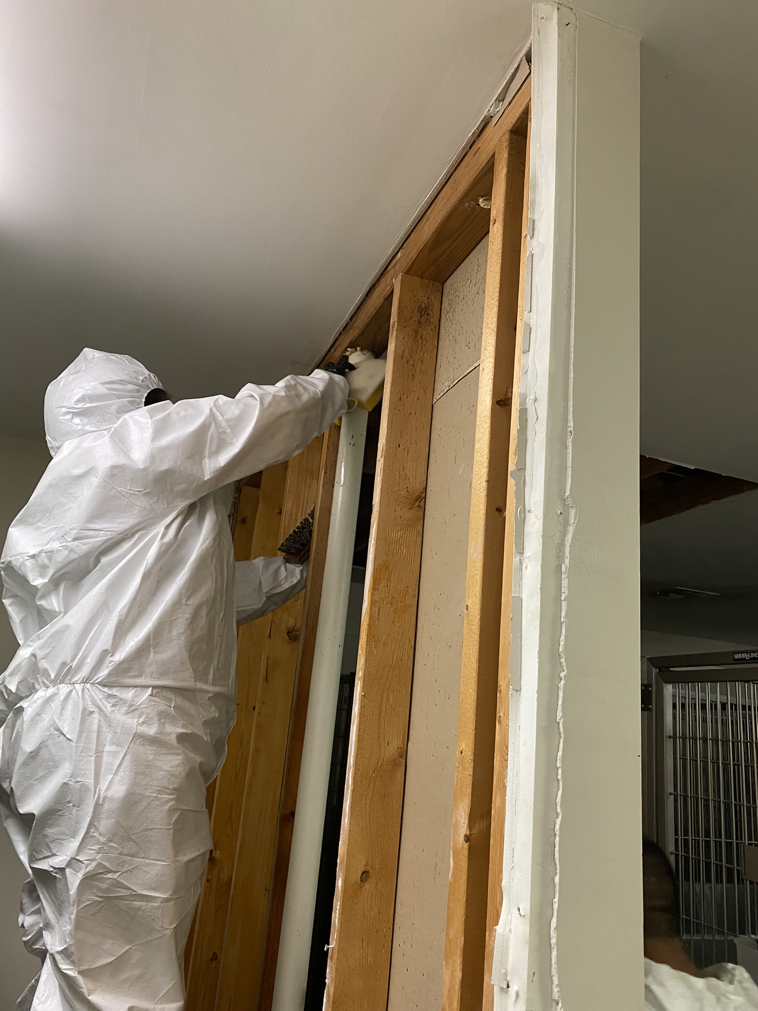 Biohazard Cleanup& Mitigation Services at dog kennel