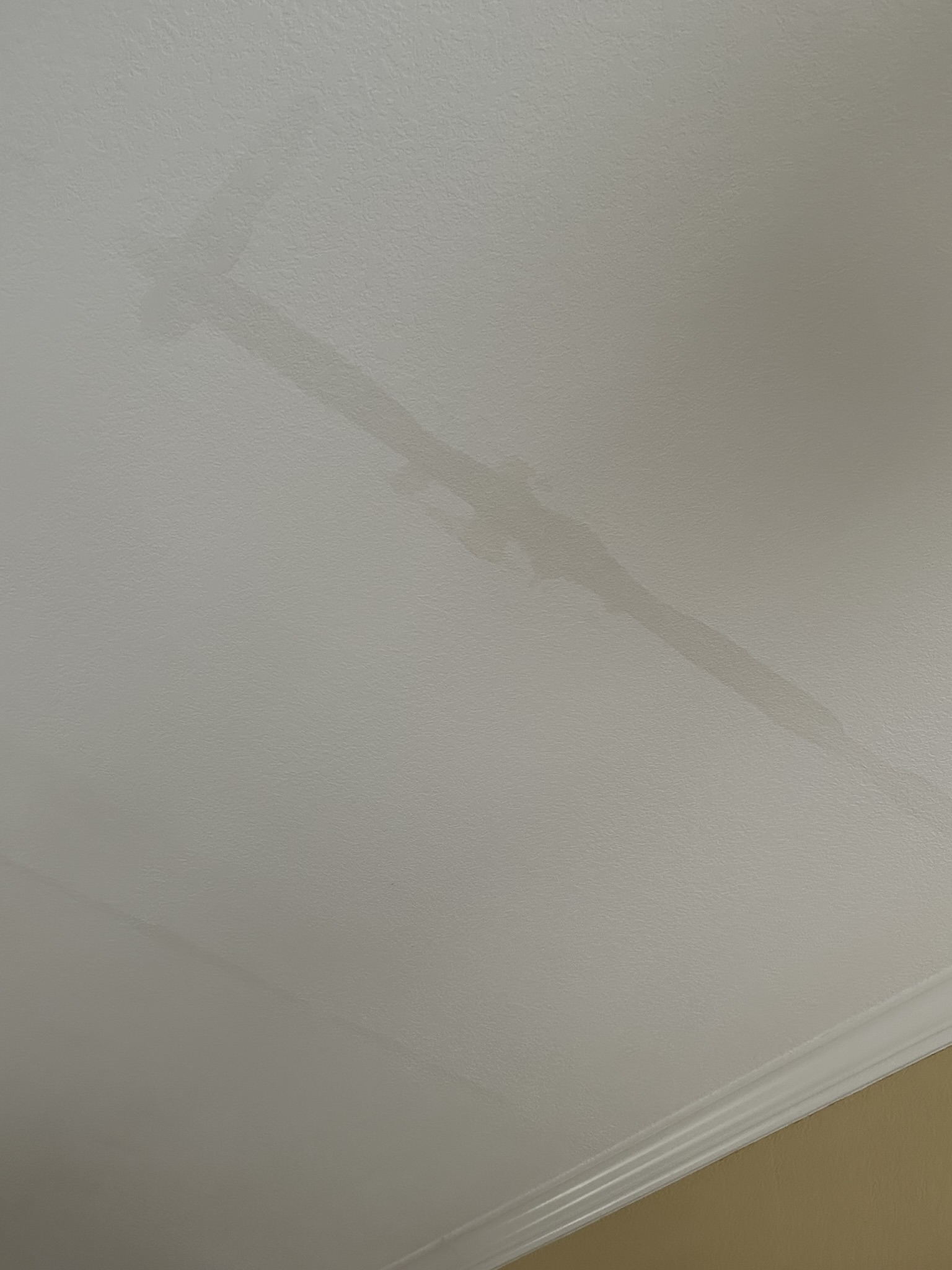 Water Damage to ceiling after roof leak